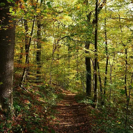 Bed and Breakfast Citadelle