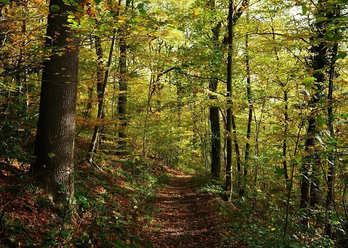 Alojamento de Acomodação e Pequeno-almoço Citadelle